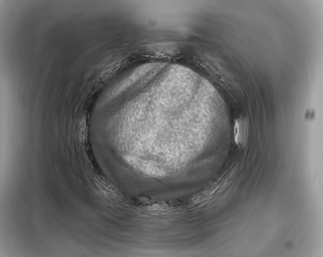 X0000098171395200805080950