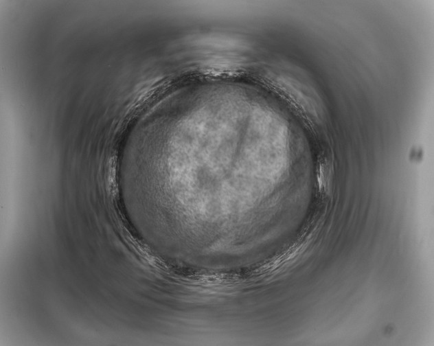 X0000098171396200805080950