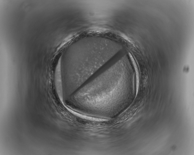 X0000098171397200805080950