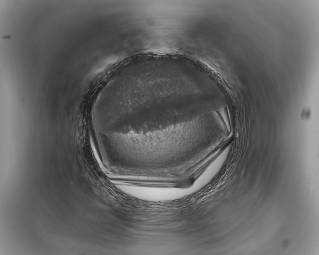 X0000098171398200805080950