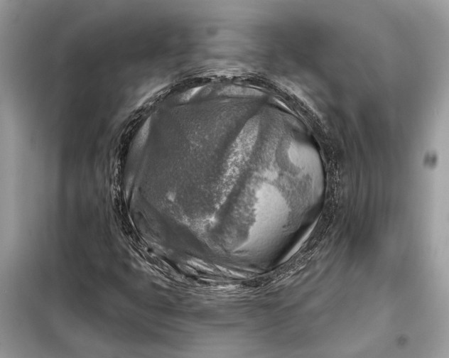 X0000098171399200805080950