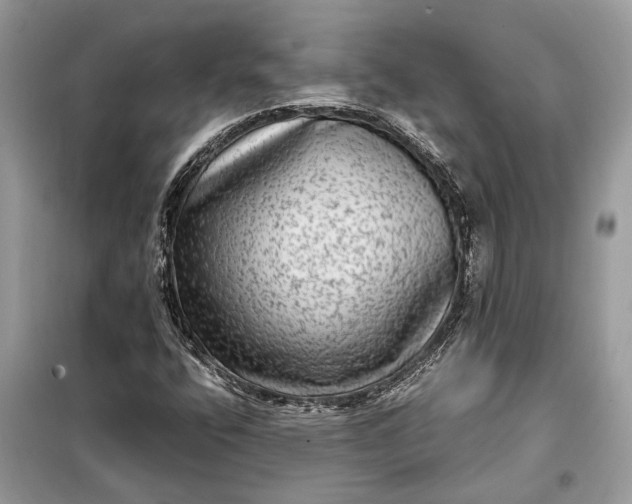 X0000098171400200805080950