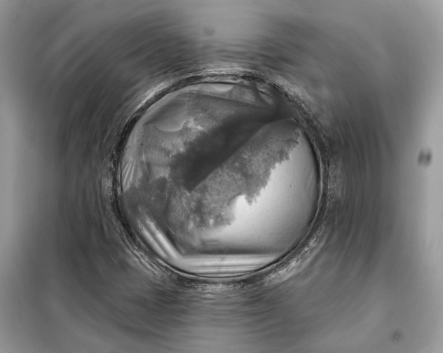 X0000098171401200805080950