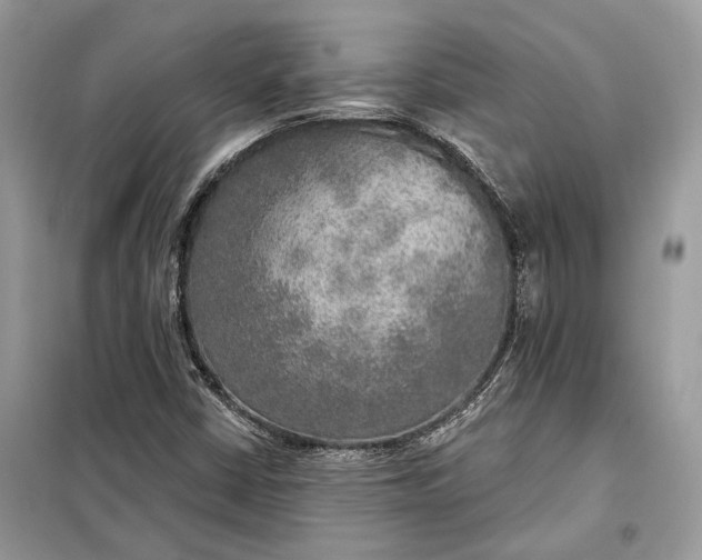 X0000098171402200805080950