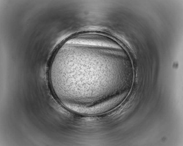 X0000098171404200805080950