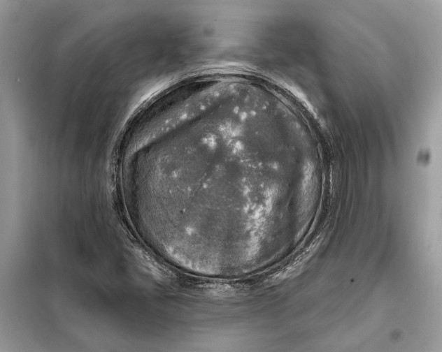 X0000098171405200805080950