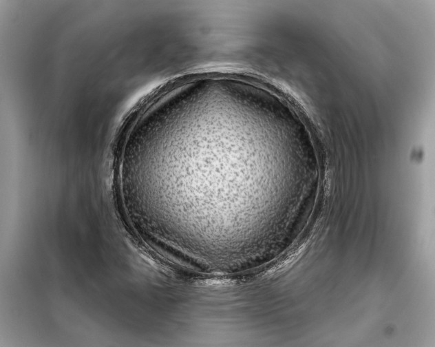 X0000098171406200805080950