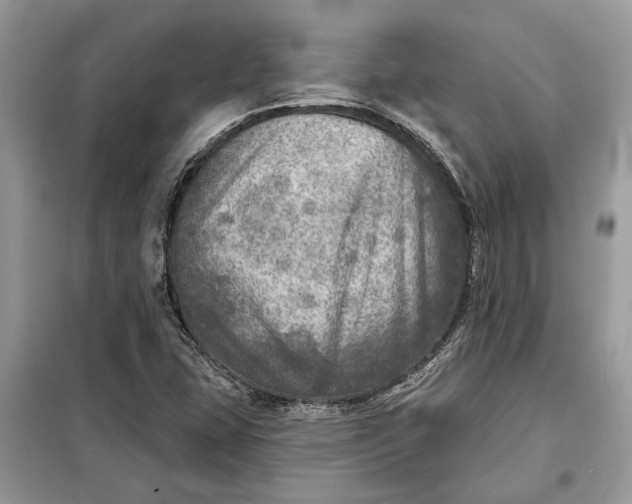 X0000098171407200805080950