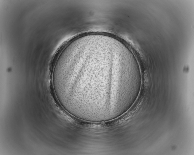 X0000098171408200805080950