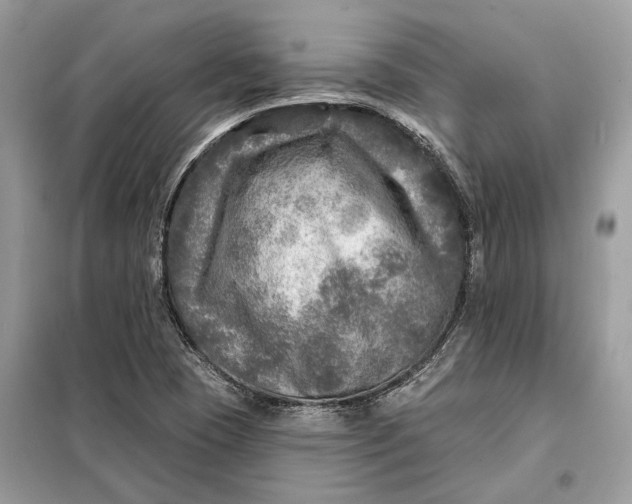 X0000098171409200805080950