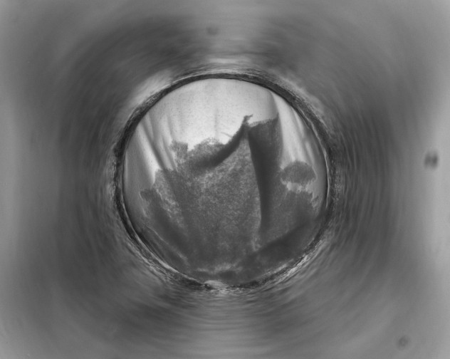 X0000098171411200805080950