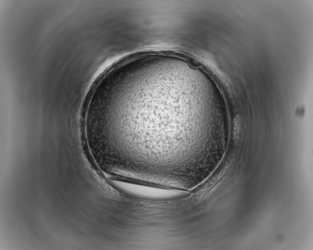 X0000098171412200805080950