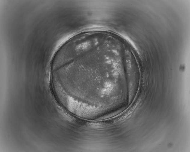 X0000098171413200805080950