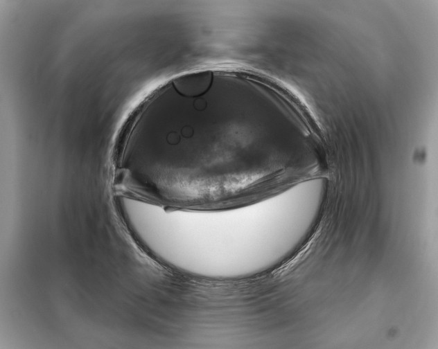 X0000098171414200805080950