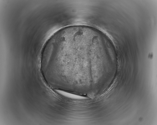 X0000098171415200805080950