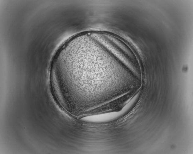 X0000098171416200805080950