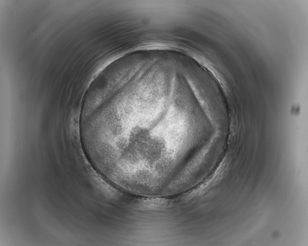 X0000098171417200805080950