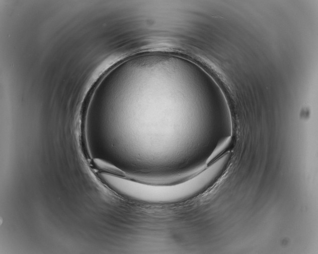 X0000098171418200805080950