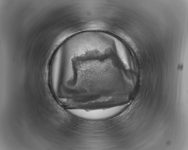 X0000098171419200805080950