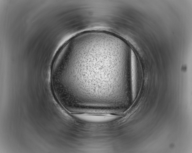 X0000098171420200805080950