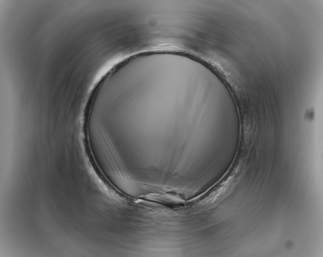 X0000098171422200805080950