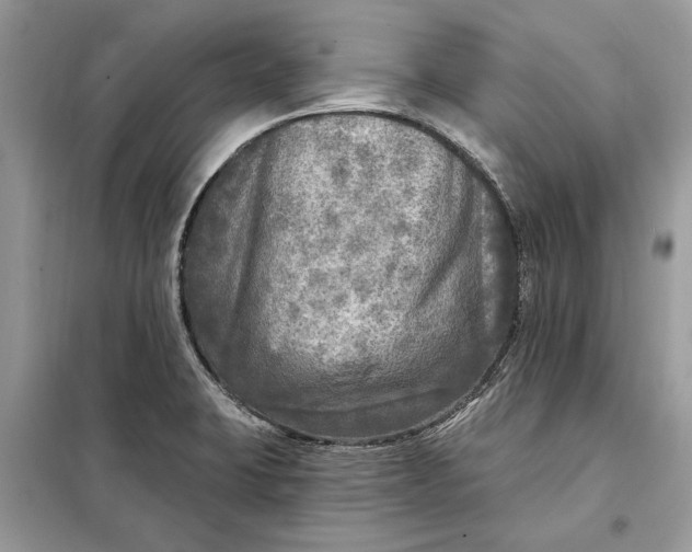 X0000098171423200805080950