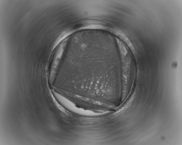 X0000098171425200805080950