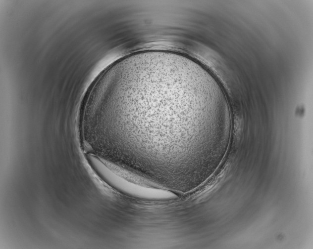 X0000098171426200805080950