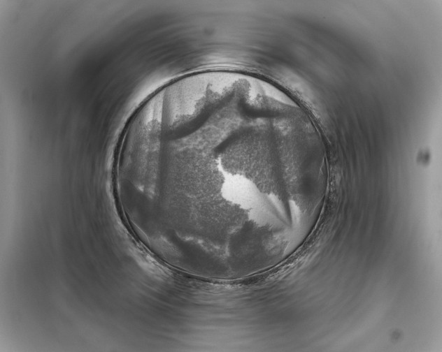 X0000098171427200805080950