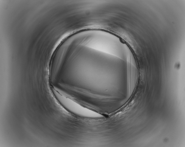 X0000098171428200805080950