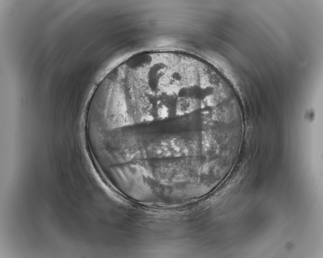 X0000098171429200805080950