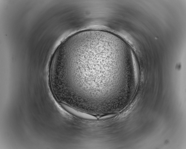 X0000098171430200805080950