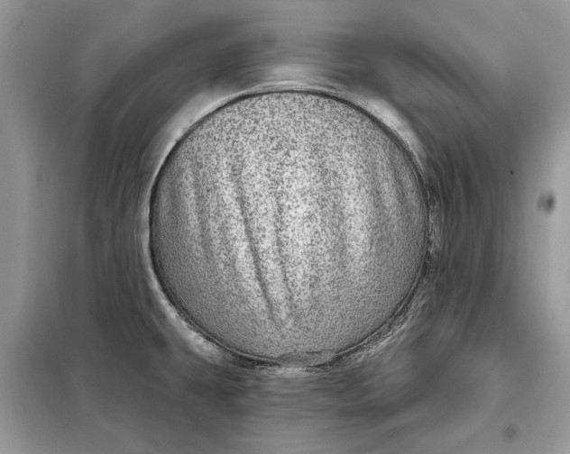 X0000098171431200805080950