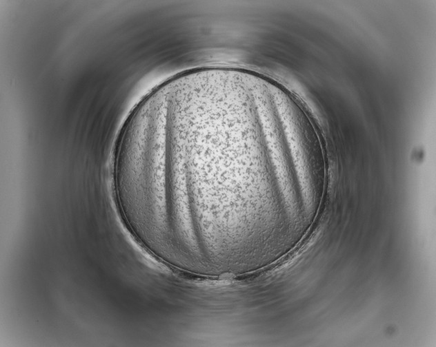 X0000098171432200805080950