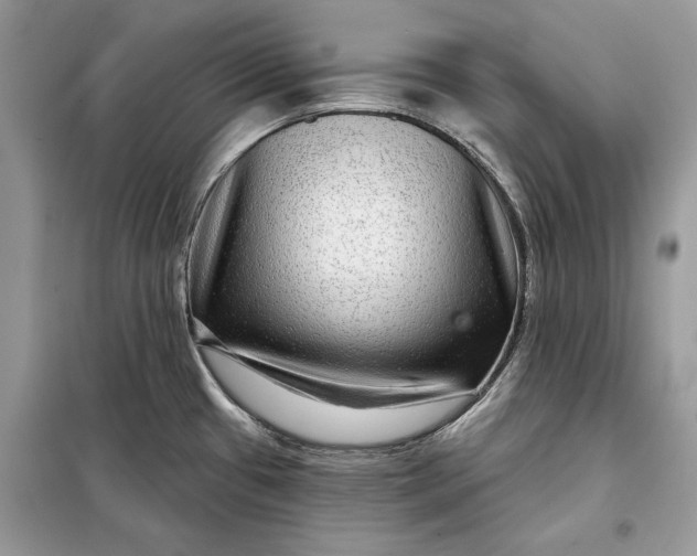 X0000098171433200805080950