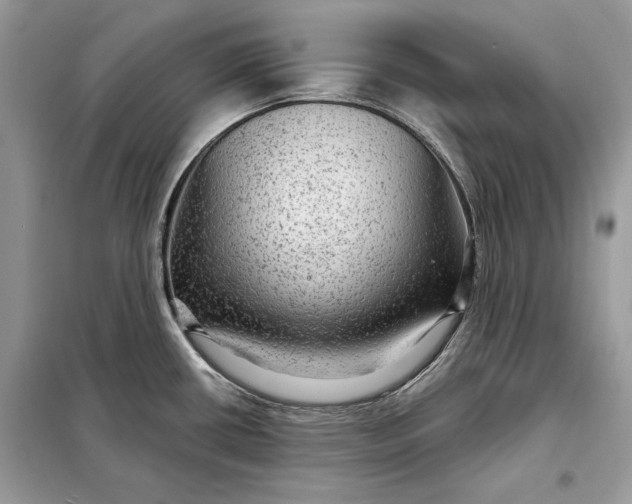 X0000098171434200805080950