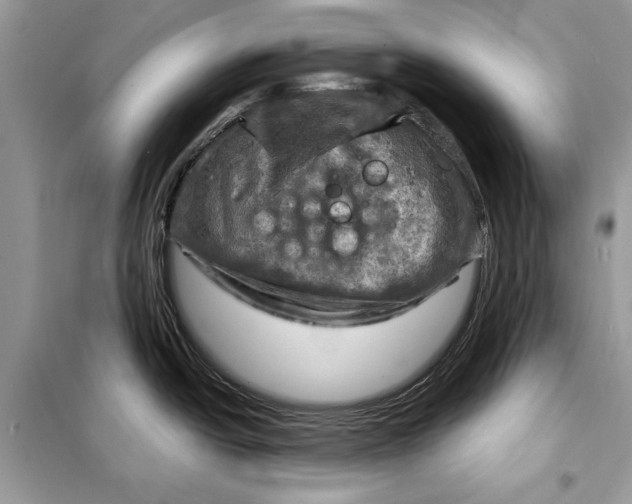 X0000098171438200805080950