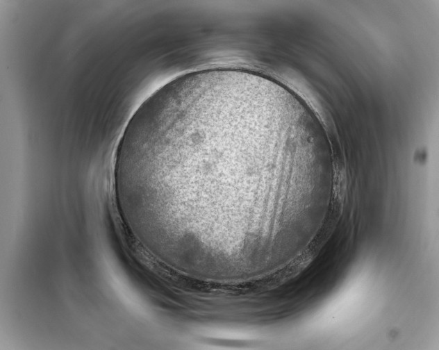 X0000098171439200805080950