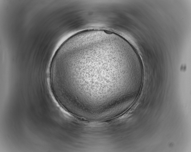 X0000098171440200805080950