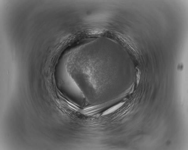 X0000098171441200805080950