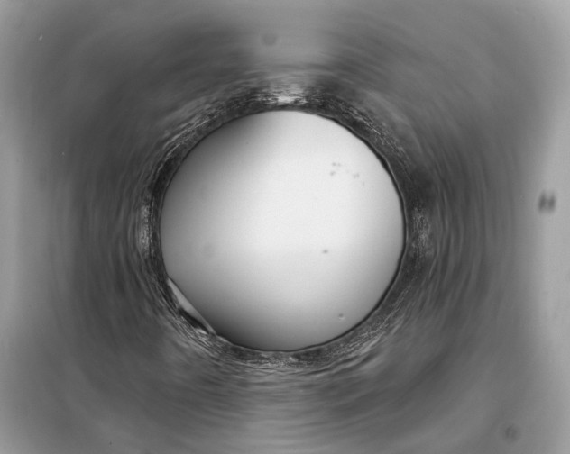 X0000098171442200805080950