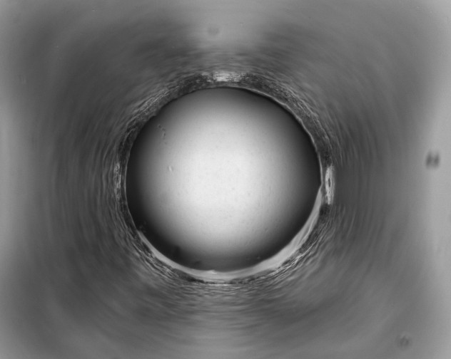 X0000098171443200805080950