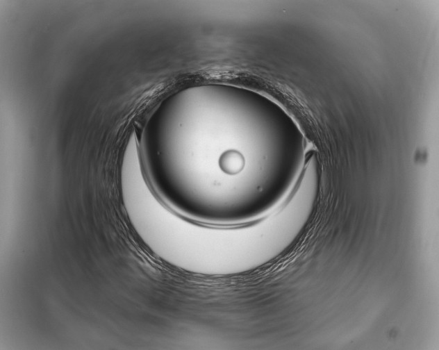 X0000098171444200805080950