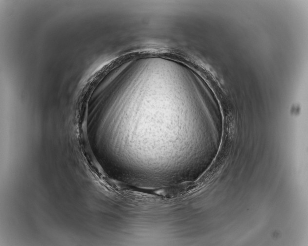 X0000098171448200805080950