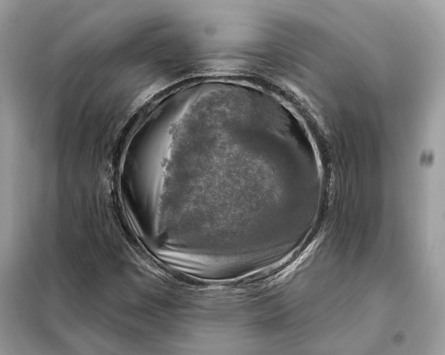 X0000098171449200805080950