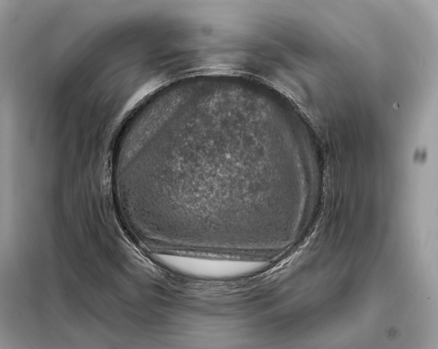 X0000098171450200805080950