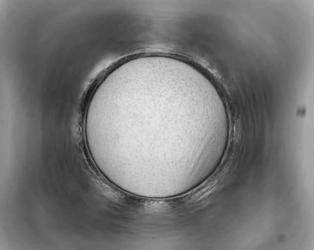 X0000098171454200805080949