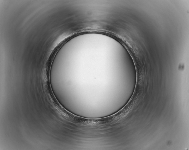 X0000098171458200805080949