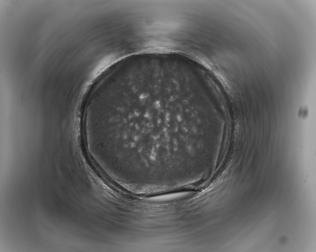 X0000098171459200805080949