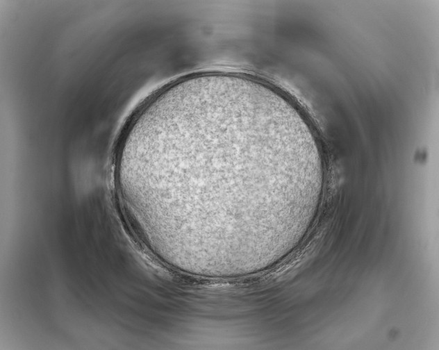 X0000098171462200805080949